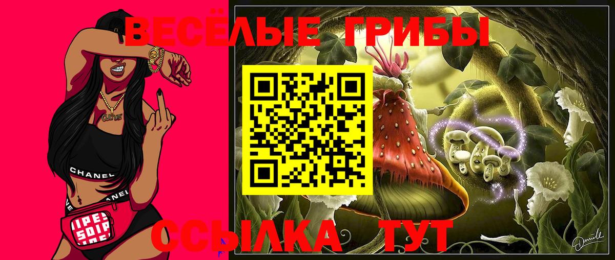 Псилоцибиновые грибы GOLDEN TEACHER Дубна